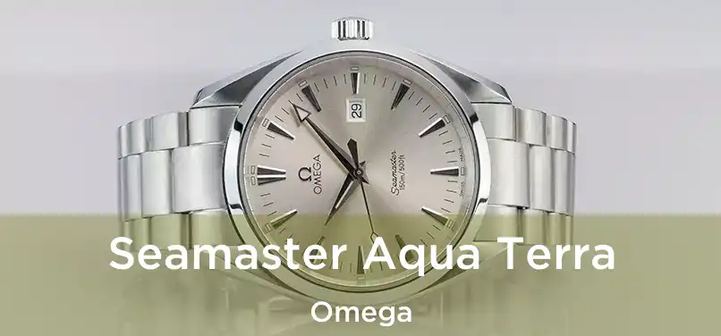 Seamaster Aqua Terra Omega